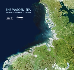 Satellite view of the Wadden Sea